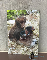Load image into Gallery viewer, puppy boots photo on aluminum salisbury newbrunswick canada moncton vancouver
