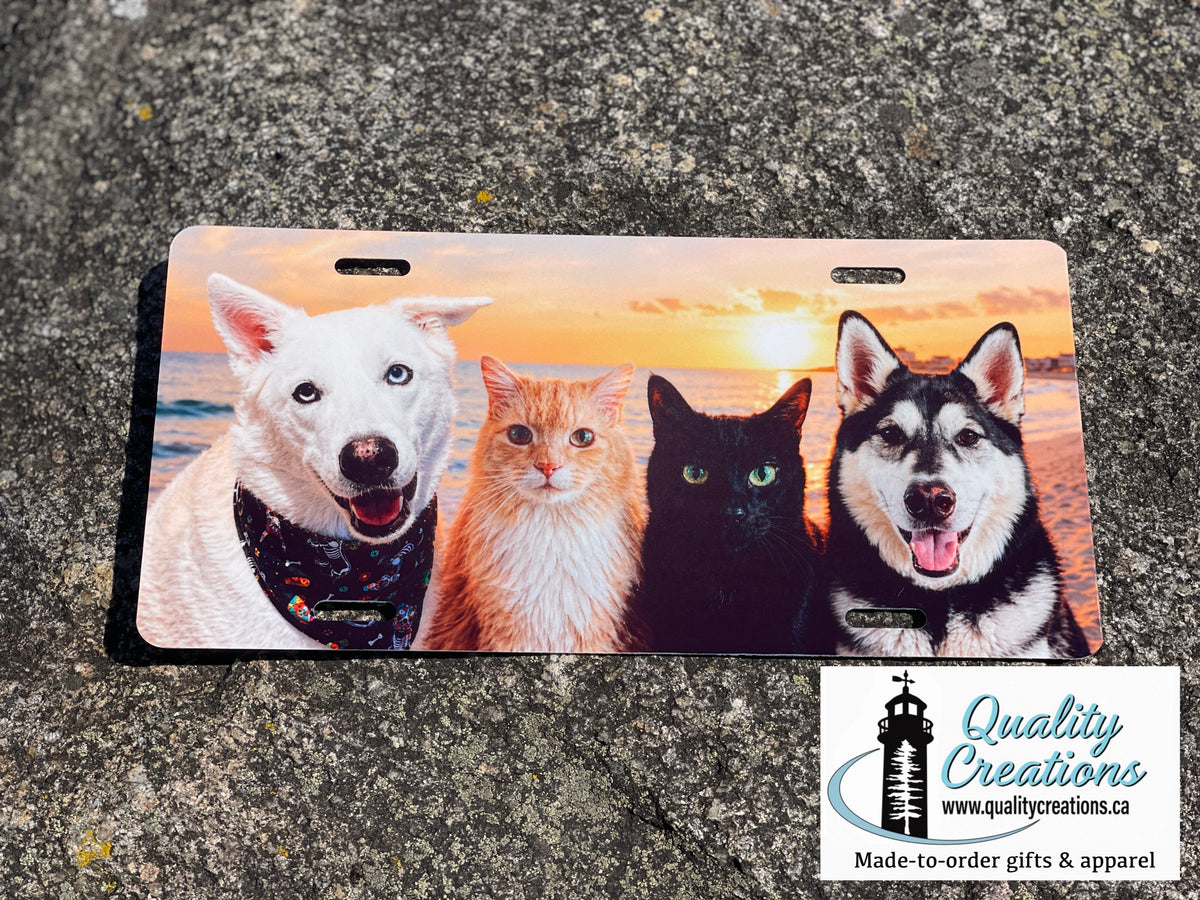 Custom pet photo license plate featuring dogs and cats, personalized from your own photos by Quality Creations in Salisbury, New Brunswick